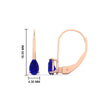 Load image into Gallery viewer, 1-carat-lever-back-pear-shape-sapphire-earrings-in-rose-gold-FDEAR9225PEGSABL-1.00CT-NL-RG