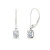 Load image into Gallery viewer, 1-carat-leverback-oval-drop-dangle-diamond-earrings-in-white-gold-fdear11236ovangle1-1.00ct-nl-wg.jpg?v=1765455492