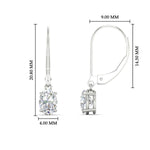 Load image into Gallery viewer, 1-carat-leverback-oval-drop-dangle-diamond-earrings-in-white-gold-fdear11236ovangle4-1.00ct-nl-wg-hw.jpg?v=1765455492