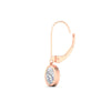Load image into Gallery viewer, 1-carat-oval-cut-bezel-diamond-leverback-earrings-in-fdear11736ovangle6-1.00ct-nl-rg.jpg?v=1778150827