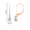 Load image into Gallery viewer, 1-carat-pear-shape-diamond-lever-back-drop-earrings-in-rose-gold-FDEAR11236PE-1.00CT-NL-RG.jpg