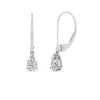 Load image into Gallery viewer, 1-carat-pear-shape-diamond-lever-back-drop-earrings-in-white-gold-FDEAR11236PE-1.00CT-NL-WG.jpg