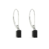 Load image into Gallery viewer, 1-ct-emerald-cut-black-diamond-drop-earrings-in-white-gold-fdear11236emgblackangle3-1.00ct-nl-wg.jpg?v=1765364316