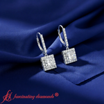 Load image into Gallery viewer, 1_Carat_Princess_Cut_-Halo_Lever_Back_Earrings_-_in_white_gold_-_FDEAR11235PR