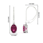 Load image into Gallery viewer, 2-carat-leverback-oval-drop-dangle-pink-sapphire-earrings-in-white-gold-fdear11236ovgsadrpiangle4-2.00ct-nl-wg-hw.jpg?v=1765455495