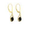 Load image into Gallery viewer, black-diamond-diamond-solitaire-drop-earrings-in-yellow-gold-fdear11552gblackangle3-nl-yg.jpg?v=1777352675