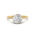 Load image into Gallery viewer, compass-point-under-halo-engagement-ring-with-black-diamond-in-yellow-gold-FDENR2147RORGBLACK-NL-YG