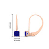 Load image into Gallery viewer, half-carat-princess-cut-sapphire-lever-back-earrings-in-rose-gold-FDEAR9225PRGSABL-0.50CT-NL-RG