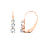 Load image into Gallery viewer, lever-back-diamond-drop-earrings-in-rose-gold-fdear11665angle3-nl-rg.jpg?v=1773039638