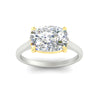 Load image into Gallery viewer, modern-east-west-cushion-cut-two-tone-engagement-ring-in-white-gold-fd11539curangle5-nl-wg