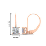 Load image into Gallery viewer, princess-cut-3-ctw.-diamond-lever-back-stud-earrings-in-rose-gold-FDEAR9225PR-3.00CT-NL-RG