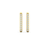 Load image into Gallery viewer, rectangle-diamond-hoop-earring-in-yellow-gold-FDEAR11488-NL-YG.jpg