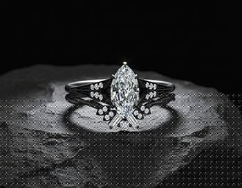 The Science of Black Gold: How It’s Made and Why It’s Special? style=