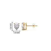 Gold Stud Earrings for Women