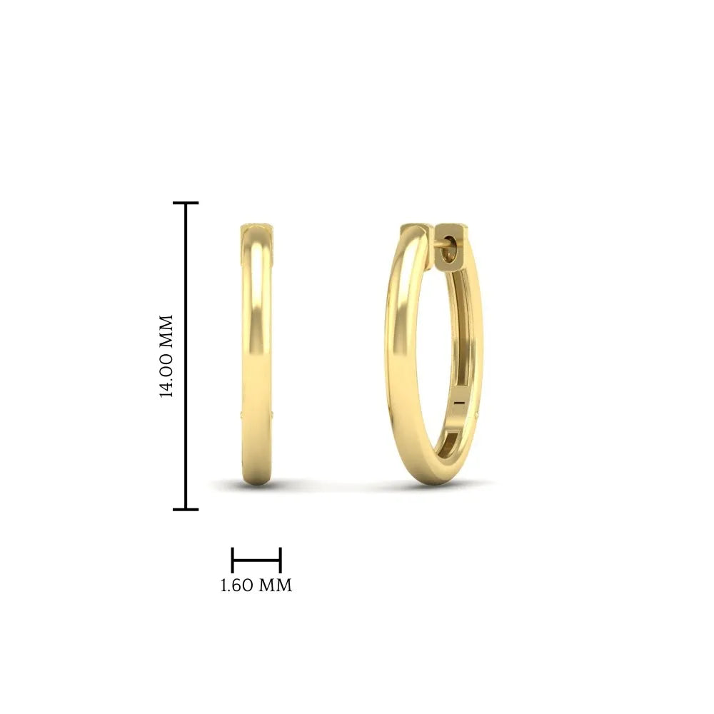 Gold Hoop Earrings for Women