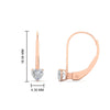 Load image into Gallery viewer, 0.50-carat-heart-shape-diamond-stud-leverback-earrings-in-rose-gold-FDEAR9225HT-0.50 CT-NL-RG