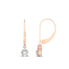 Load image into Gallery viewer, 0.50-carat-round-diamond-2-stone-dangle-lever-back-earring-in-rose-gold-FDEAR11242-0.50CT-NL-RG.jpg