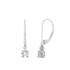 Load image into Gallery viewer, 0.50-carat-round-diamond-2-stone-dangle-lever-back-earring-in-white-gold-FDEAR11242-0.50CT-NL-WG.jpg