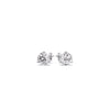 Load image into Gallery viewer, 0.50-ct-martini-stud-diamond-earrings-in-white-gold-FDEAR11581-0.50ct-NL-WG