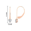 Load image into Gallery viewer, 1-carat-diamond-heart-shape-stud-dangle-earrings-in-rose-gold-FDEAR11236HT-1.00CT-NL-RG.jpg