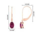 Load image into Gallery viewer, 1-carat-leverback-oval-drop-dangle-pink-sapphire-earrings-in-rose-gold-fdear11236ovgsadrpiangle4-1.00ct-nl-rg-hw.jpg?v=1765455492