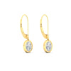 Load image into Gallery viewer, 1-carat-oval-cut-bezel-diamond-leverback-earrings-in-fdear11736ovangle5-1.00ct-nl-yg.jpg?v=1778150827
