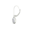 Load image into Gallery viewer, 1-carat-oval-cut-bezel-diamond-leverback-earrings-in-fdear11736ovangle6-1.00ct-nl-wg.jpg?v=1778150827