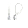 Load image into Gallery viewer, 1-carat-pear-shape-diamond-lever-back-drop-earrings-in-white-gold-FDEAR11236PE-1.00CT-NL-WG.jpg