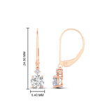 Load image into Gallery viewer, 1-carat-round-diamond-dangle-lever-back-earring-in-rose-gold-FDEAR11242-1.00CT-NL-RG.jpg