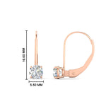 Load image into Gallery viewer, 1-carat-round-diamond-lever-back-earrings-in-rose-gold-FDEAR9225RO-1.00CT-NL-RG
