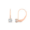 Load image into Gallery viewer, 1-carat-round-diamond-lever-back-earrings-in-rose-gold-FDEAR9225RO-1.00CT-NL-RG