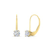 Load image into Gallery viewer, 1-carat-round-diamond-lever-back-earrings-in-yellow-gold-FDEAR9225RO-1.00CT-NL-YG