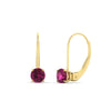 Load image into Gallery viewer, 1-carat-round-pink-sapphire-lever-back-earrings-in-yellow-gold-FDEAR9225ROGSADRPI-1.00CT-NL-YG