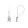 Load image into Gallery viewer, 1-ct-emerald-cut-diamond-drop-earrings-in-white-gold-fdear11236emangle4-1.00ct-nl-wg.jpg?v=1765364316