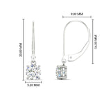 Load image into Gallery viewer, 1.00-ct-1.00-ct-round-cut-diamond-leverback-diamond-earrings-for-women-in-platinum-fdear11236roangle4-1.00ct-nl-wg-hw.jpg?v=1768373566