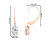 Load image into Gallery viewer, 2-carat-leverback-oval-drop-dangle-diamond-earrings-in-rose-gold-fdear11236ovangle4-2.00ct-nl-rg-hw.jpg?v=1765455495