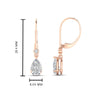 Load image into Gallery viewer, 2-carat-pear-drop-diamond-dangle-earring-in-rose-gold-FDEAR11124-2CT-NL-RG.jpg