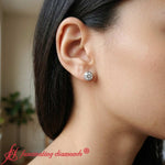 Load image into Gallery viewer, Round Cut Stud Bezel Set Earring