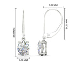 Load image into Gallery viewer, 3-carat-leverback-oval-drop-dangle-diamond-earrings-in-white-gold-fdear11236ovangle4-3.00ct-nl-wg-hw.jpg?v=1765455499