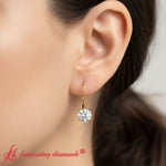 Load image into Gallery viewer, 4-carat-round-diamond-stud-earrings-lever-back-in-yellow-gold-FDEAR9225RO-4.00CT-model
