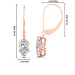 Load image into Gallery viewer, 5-carat-leverback-marquise-diamond-earrings-in-rose-gold-fdear11236mqangle4-5.00ct-nl-rg-hw.jpg?v=1768552788