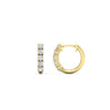 Load image into Gallery viewer, 5-stone-huggie-hoop-diamond-earrings-in-yellow-gold-FDEAR10773GSANGLE2-NL-YG