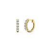 Load image into Gallery viewer, 5-stone-huggie-hoop-diamond-earrings-in-yellow-gold-FDEAR10773GSANGLE2-NL-YG