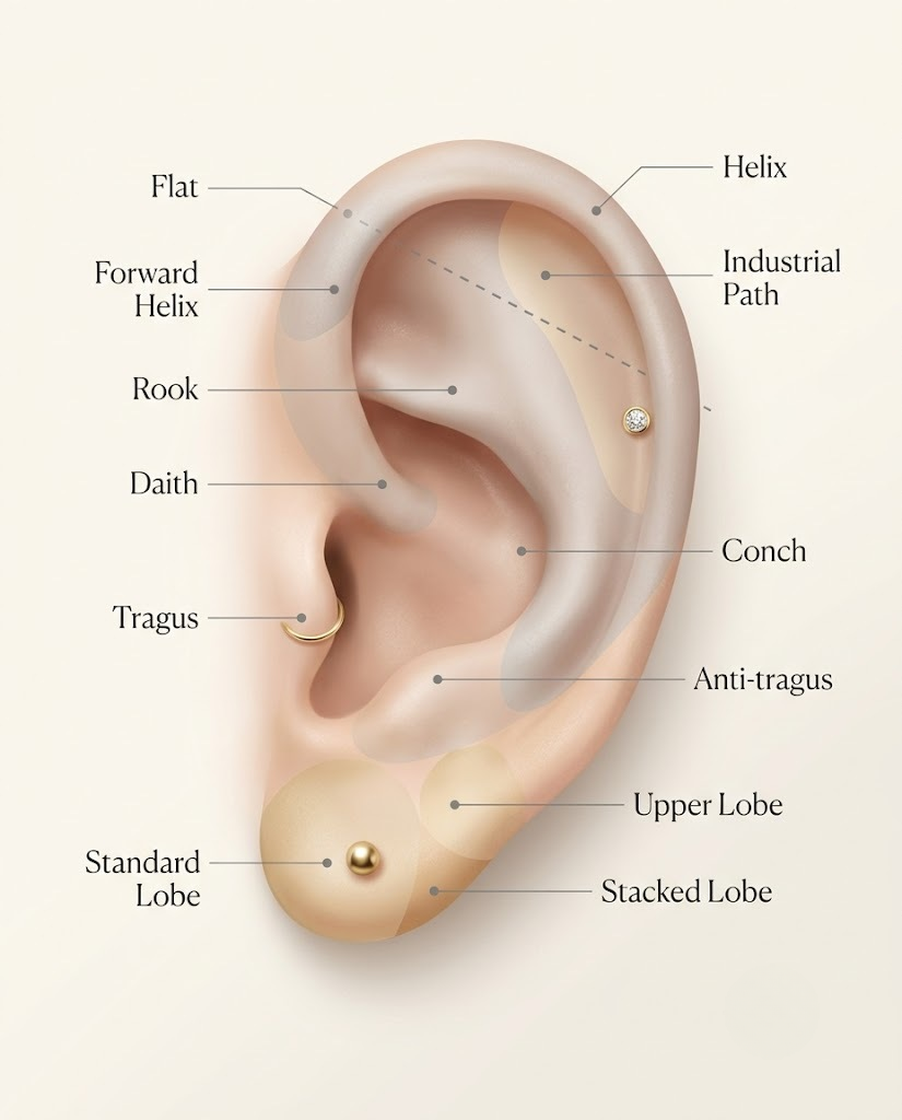 Ear Piercing Anatomy: Where Everything Sits