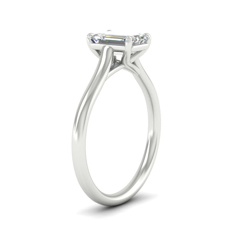 cathedral-flat-band-emerald-cut-diamond-ring-in-white-gold-fdenr431emangle2-nl-wg.jpg?v=1760431550