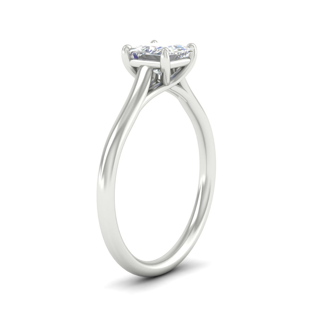 cathedral-flat-band-princess-cut-diamond-ring-in-white-gold-fdenr431prangle2-nl-wg.jpg?v=1760431571