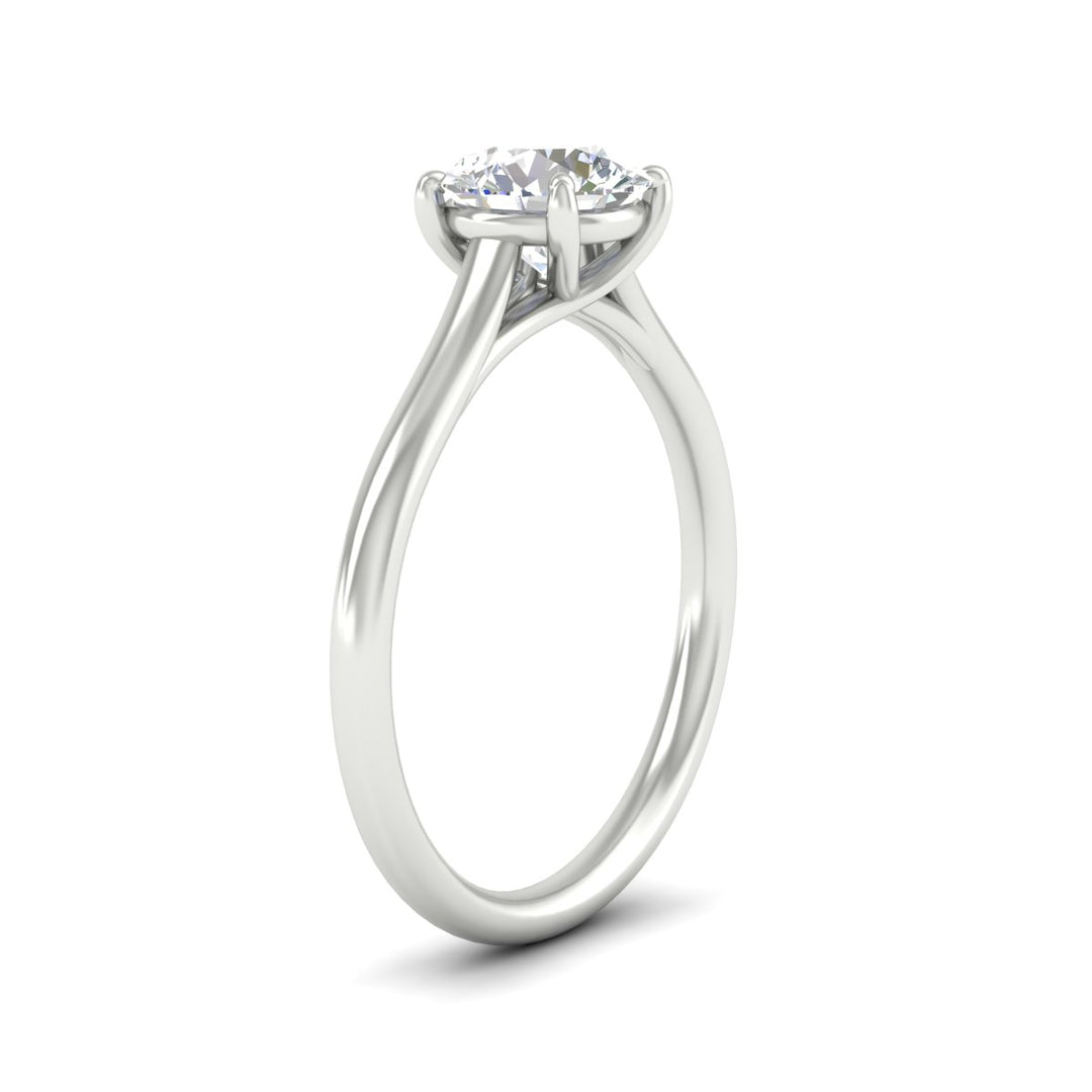 cathedral-flat-band-round-cut-diamond-ring-in-white-gold-fdenr431roangle2-nl-wg.jpg?v=1760431582
