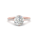 Load image into Gallery viewer, Compass Point Under Halo Engagement Ring
