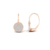 Load image into Gallery viewer, diamond-disc-drop-earring-in-fdear9684angle2-nl-rg