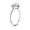 Load image into Gallery viewer, flower-halo-round-diamond-engagement-ring-in-white-gold-FD10073RORANGLE2-NL-WG_9fe49e34-4bc2-494a-abb6-6879f6b3f6d6?v=1750409788